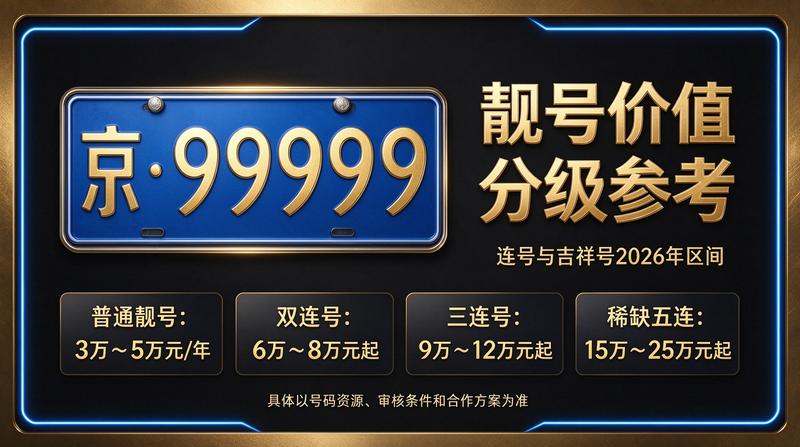 2026年闲置北京车指标分析图表